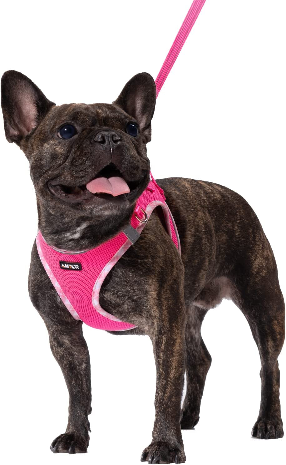 AMTOR Dog Harness with Leash Set,No Pull Adjustable Reflective Step-In Puppy Harness with Padded Vest for Extra-Small/Small Medium Large Dogs and Cats(Beige) Animals & Pet Supplies > Pet Supplies > Dog Supplies > Dog Apparel AMTOR Fuchsia Medium(Chest:16.0"-18.0") 