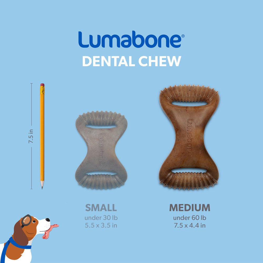 Lumabone Real Bacon Durable Dental Dog Chew Toy, Medium
