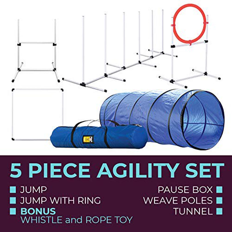 Dog Agility Training Equipment, Complete Set, Dog Tunnel, Jump, Hurdle, Hoop, Weave Poles Dog Obstacle Course, Backyard, Indoor, Outdoor