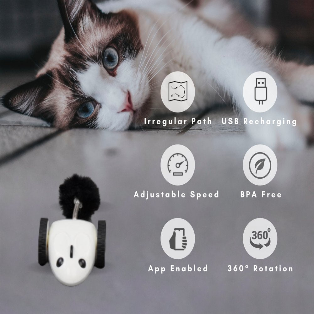 Instachew Purechase Automatic Cat Toy, App Enabled with USB Charging Animals & Pet Supplies > Pet Supplies > Cat Supplies > Cat Toys Instachew   