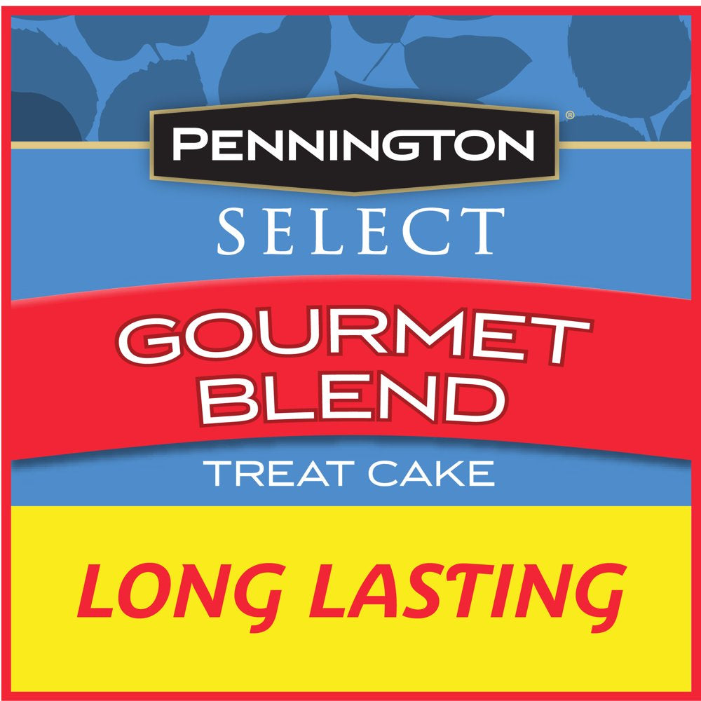 Pennington Premium Gourmet Wild Bird Seed Cake, 2 Lb. Animals & Pet Supplies > Pet Supplies > Bird Supplies > Bird Treats CENTRAL GARDEN & PET COMPANY   