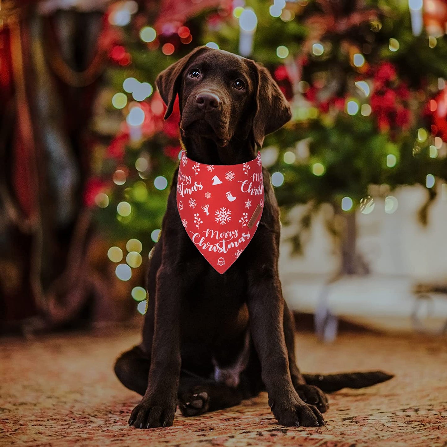 Adoggygo Dog Bandana Christmas Dog Scarf Bib Kerchief, Premium Durable Fabric, Multiple Sizes Offered, Dog Christmas Bandanas Costumes for Medium Large Dogs Cats Pets (Large) Animals & Pet Supplies > Pet Supplies > Dog Supplies > Dog Apparel ADOGGYGO   