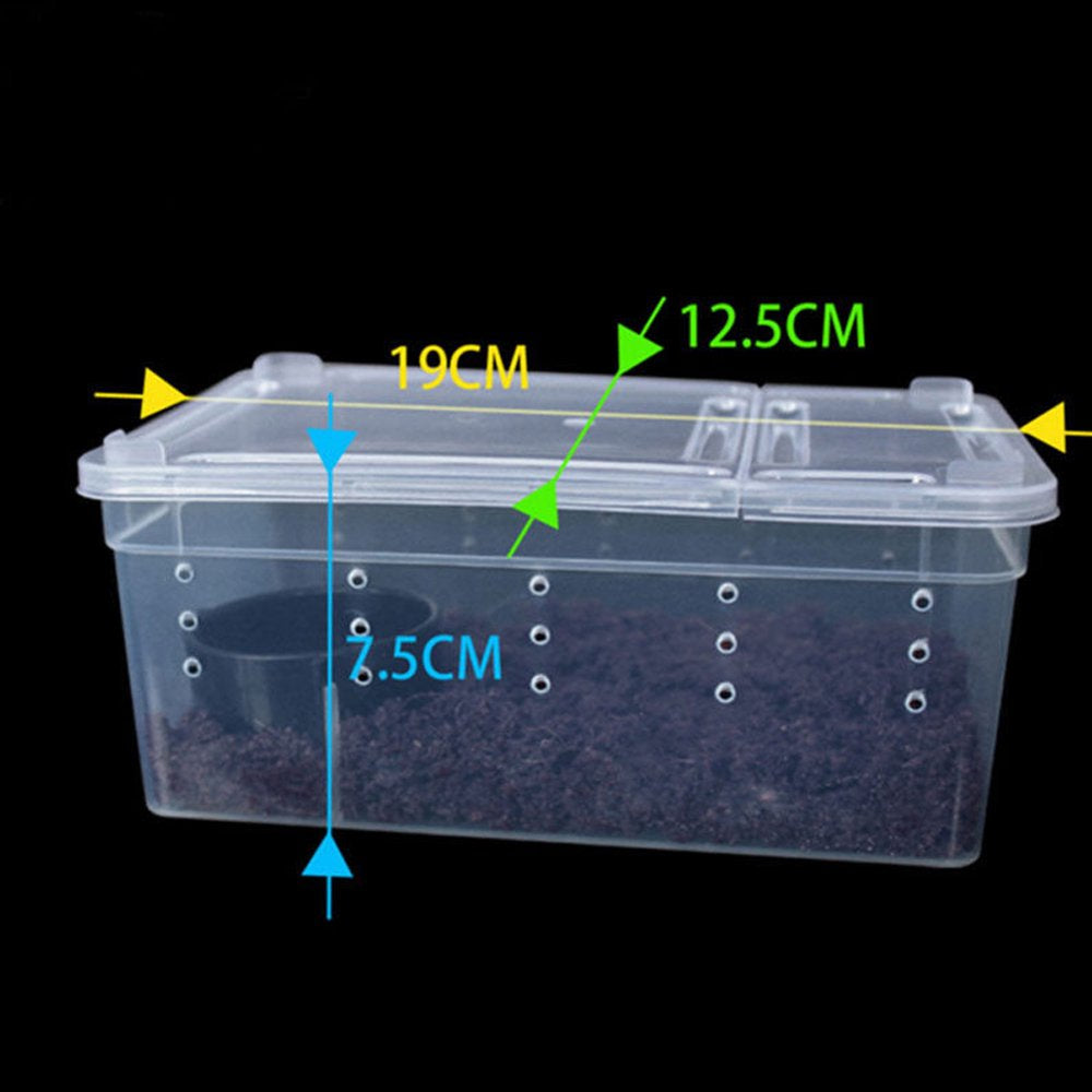 Juiluna Transparent Feeding Box Reptile Box Amphibian for Snake Cage Lizard Spider Reptile Combination Animals & Pet Supplies > Pet Supplies > Reptile & Amphibian Supplies > Reptile & Amphibian Food Juiluna S  