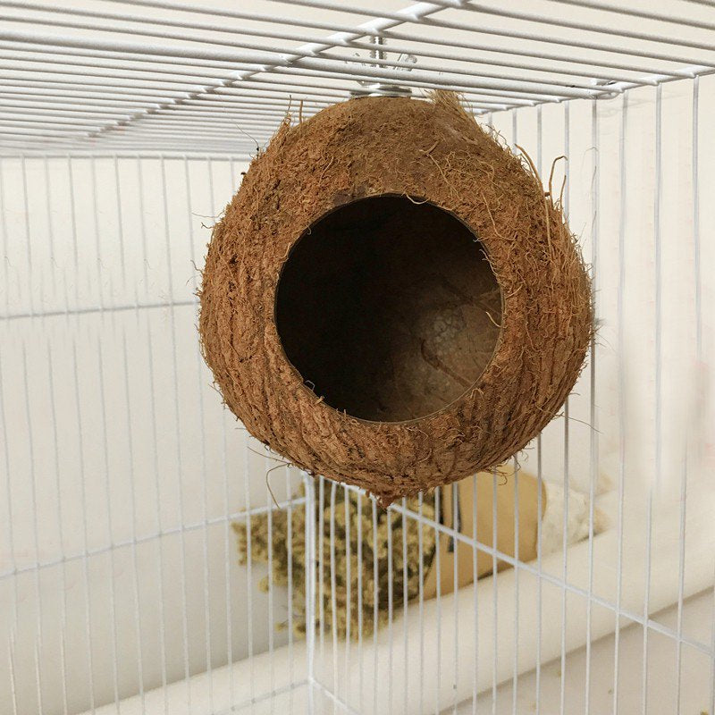 Pet Bird Coconut Shell Nest House Hut Cage Feeder Pet Parrot Parakeet Toys Animals & Pet Supplies > Pet Supplies > Bird Supplies > Bird Toys Esho   