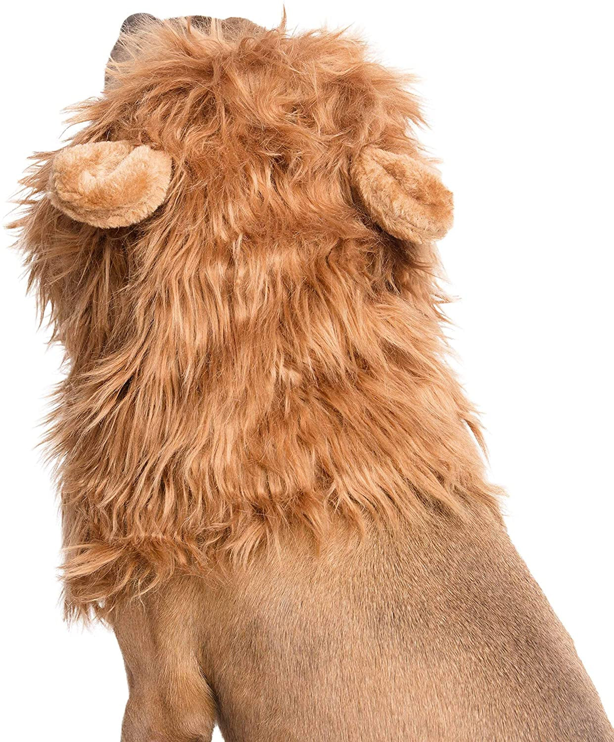 Pet Krewe Dog Lion Mane Halloween Costume Lion Mane for Large and Small Dogs – Ideal for Halloween, Dog Birthday, Dog Cosplay, Dog Outfits, Pet Clothes Animals & Pet Supplies > Pet Supplies > Dog Supplies > Dog Apparel Pet Krewe   