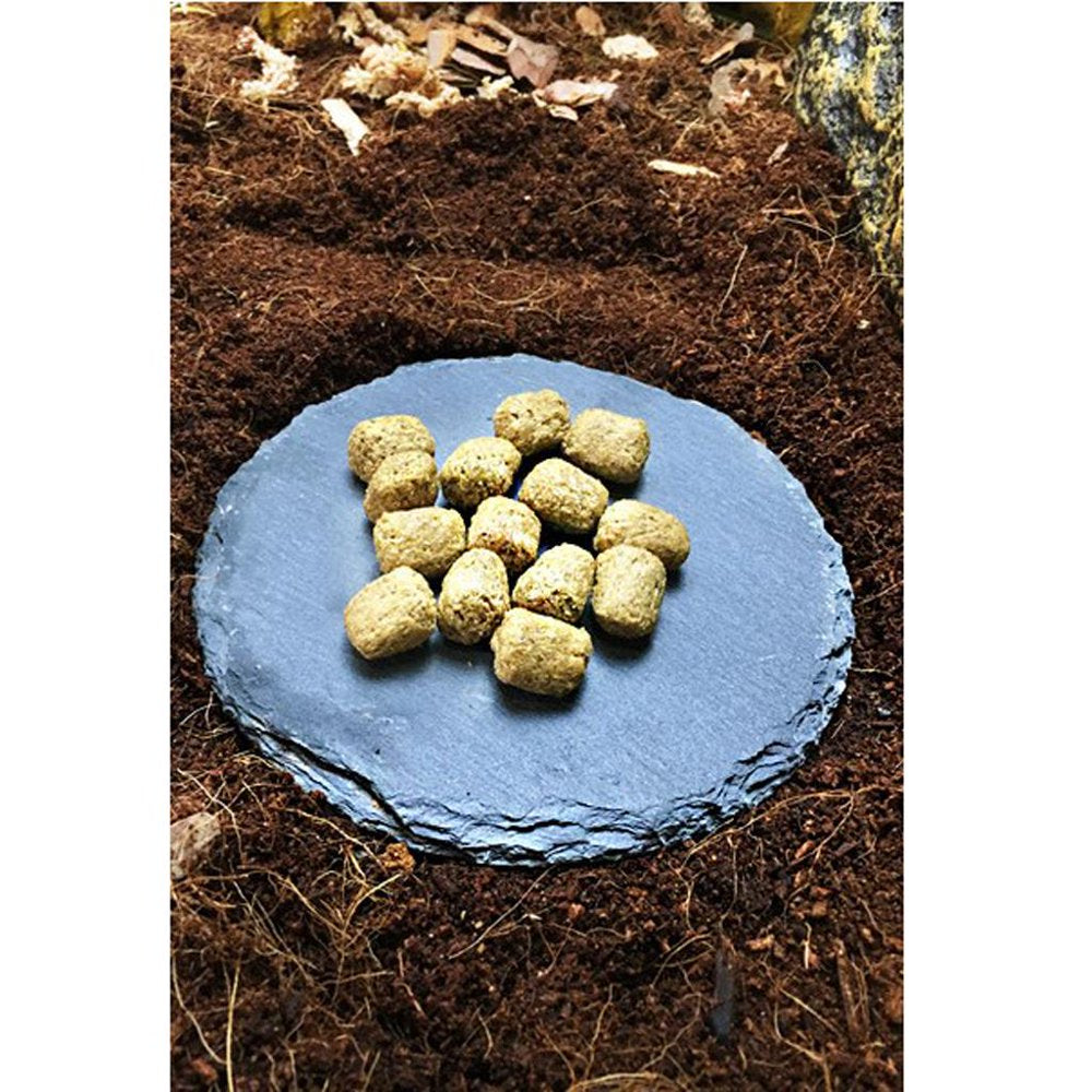 Dish for Reptile Amphibians Food Bowl Natural Rock Tortoise, Bullfrog Rainforest Skink Circular Animals & Pet Supplies > Pet Supplies > Reptile & Amphibian Supplies > Reptile & Amphibian Food perfk   