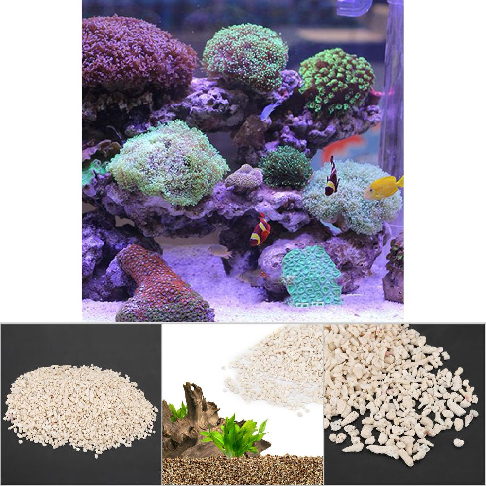 EBTOOLS Natural Sand Gravel Fish Tank Natural Substrate Aquarium Decoration Sand Fish Tank Miniatures Terrarium Ornament Animals & Pet Supplies > Pet Supplies > Fish Supplies > Aquarium Gravel & Substrates EBTOOLS   