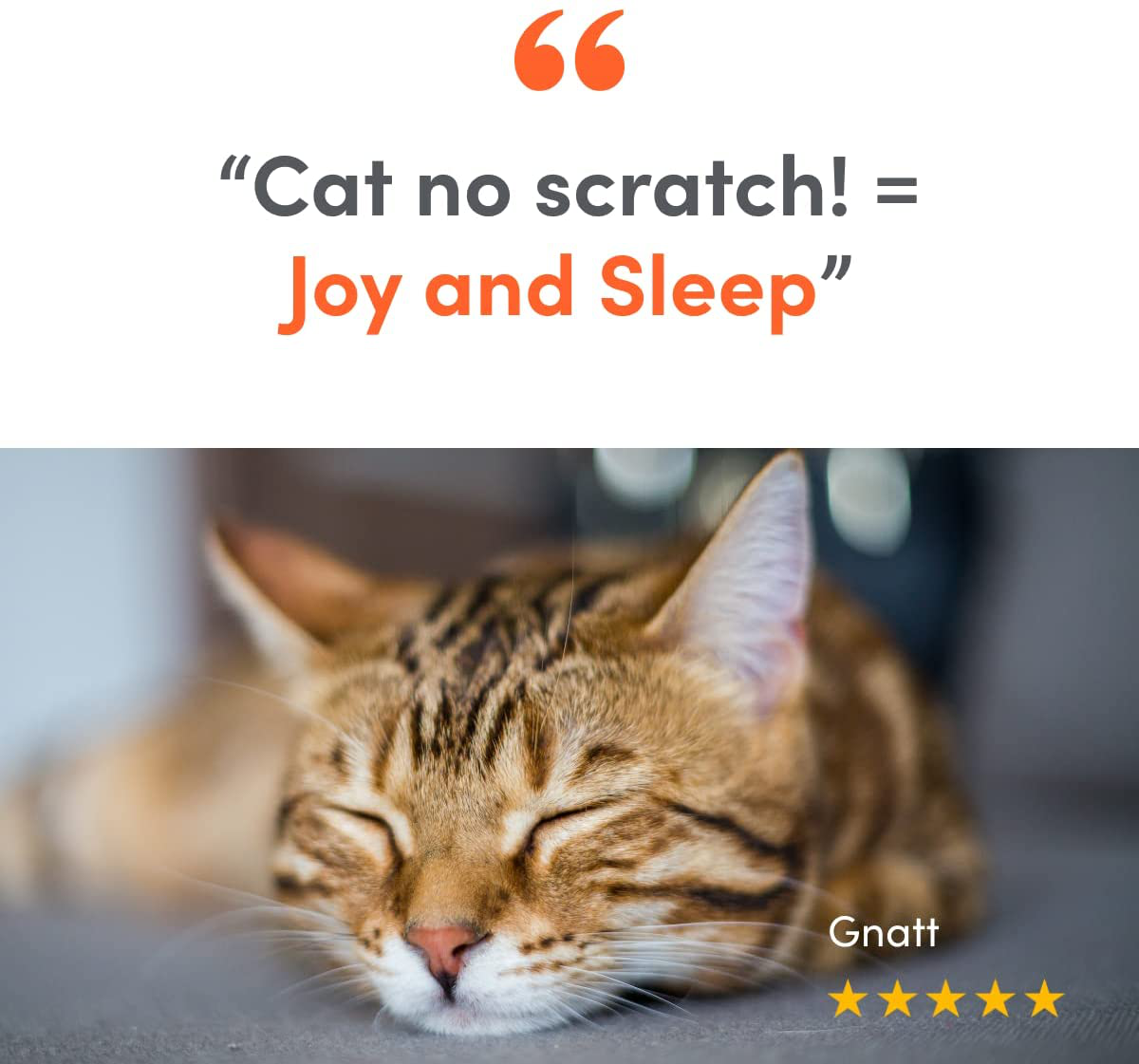 Cat Scratch Tape Furniture Protectors Guard Your Couch Doors