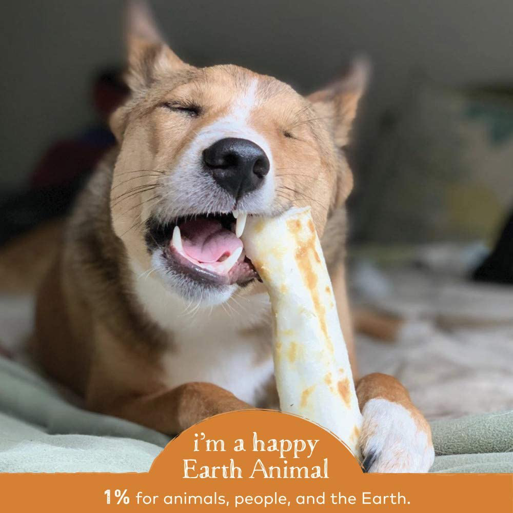 Earth Animal No-Hide Medium Flavored Rolls Natural Rawhide Alternative Dog Chew Treat for Medium Dogs Animals & Pet Supplies > Pet Supplies > Small Animal Supplies > Small Animal Treats EARTH ANIMAL   