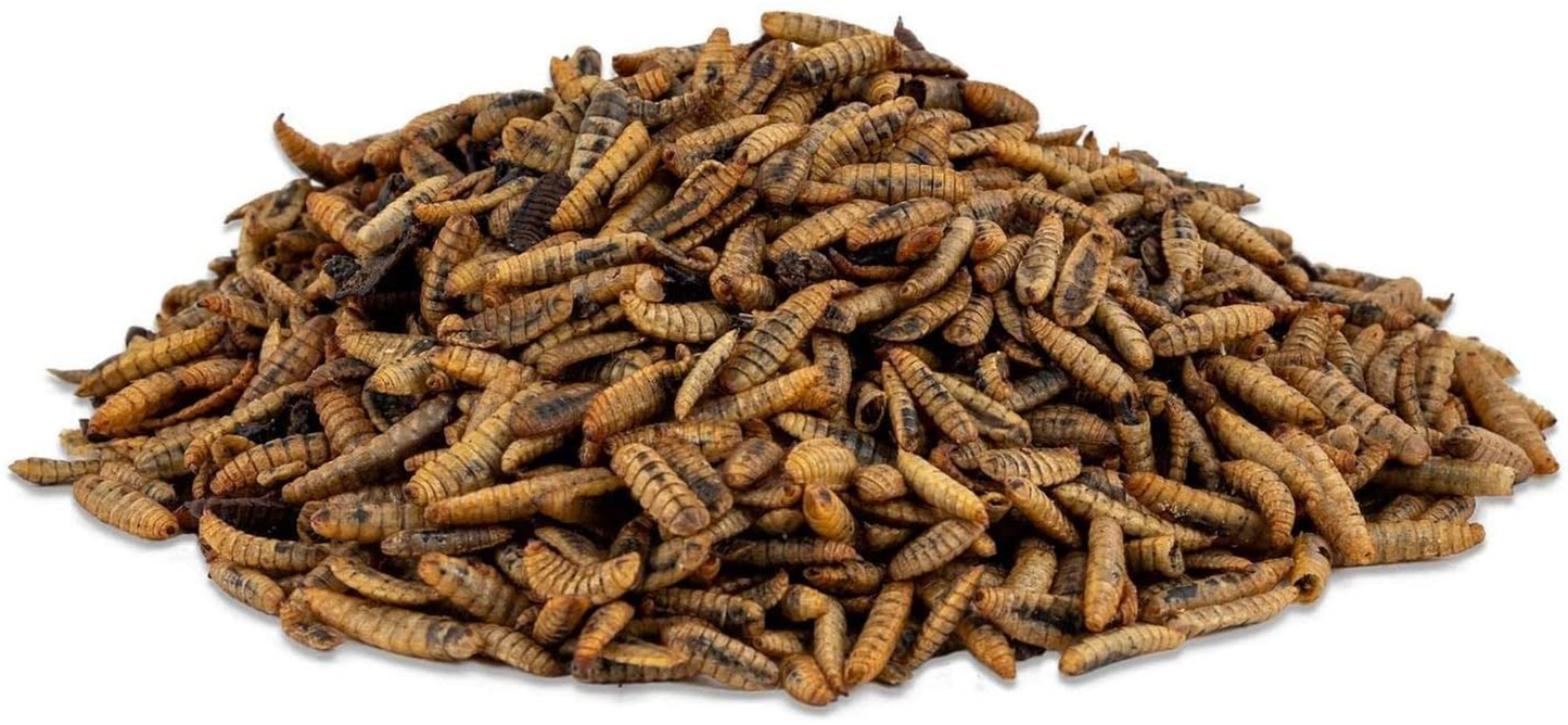 Scratch and Peck Feeds Cluckin' Good Grubs for Chickens - Natural Protein and Calcium Supplement Feed - Dried Black Soldier Fly Larvae Bird Treats Animals & Pet Supplies > Pet Supplies > Bird Supplies > Bird Treats SCRATCH AND PECK FEEDS YOU ARE WHAT YOUR ANIMALS EAT   