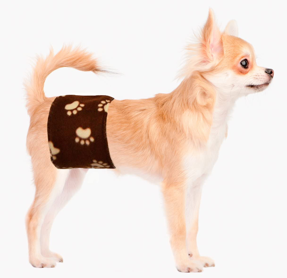 Cuddle Bands Male Dog Belly Band for Housetraining and Incontinence - Washable and Reusable Dog Diaper (Brown Paw Print)