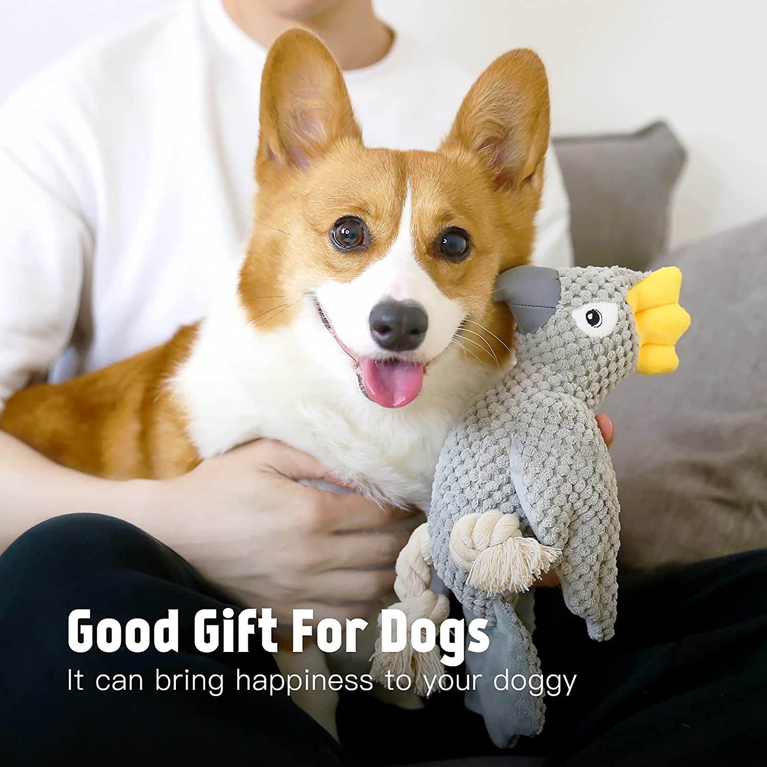 Dog Toys for Small Dog, Plush Interactive Dog Squeak Toy for