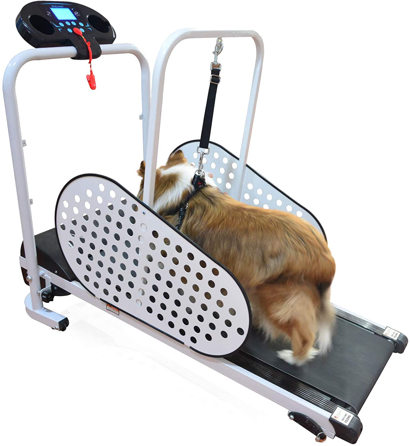 Techtongda Dog Proform Treadmill Pet Exercise Equipment for Canine Running 110V
