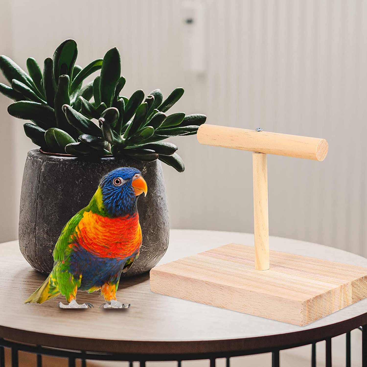 STOBOK 1Pc Bird Training Stand, Wooden Parrot Training T Stand Perch Bird Cage Stand Playstand Playgound Play Gym for Concures Parakeets Lovebirds Cockatiels
