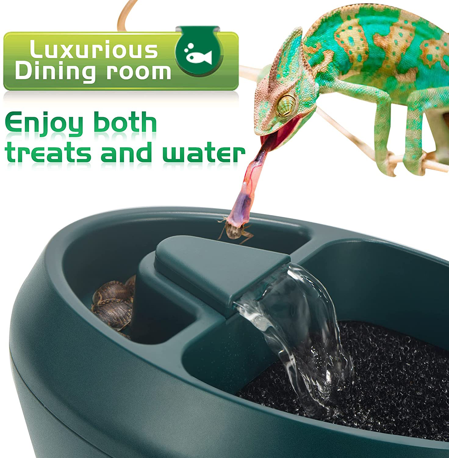 NEPTONION Reptile Chameleon Cantina with Snacks Trough, Drinking Fountain Water Dripper for Amphibians Insects Lizard Turtle Snake Spider Frog Gecko, Comes with Two Pumps (One for Replacement) Animals & Pet Supplies > Pet Supplies > Reptile & Amphibian Supplies > Reptile & Amphibian Habitats NEPTONION   