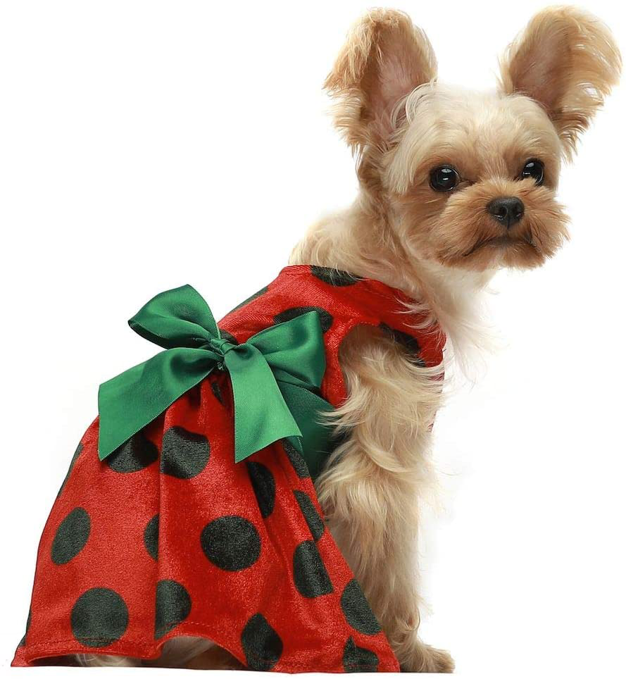 Fitwarm Christmas Dog Dresses Holiday Outfits Pet Clothes Cat Costume Polka Dot Red Animals & Pet Supplies > Pet Supplies > Cat Supplies > Cat Apparel Fitwarm Red XS 