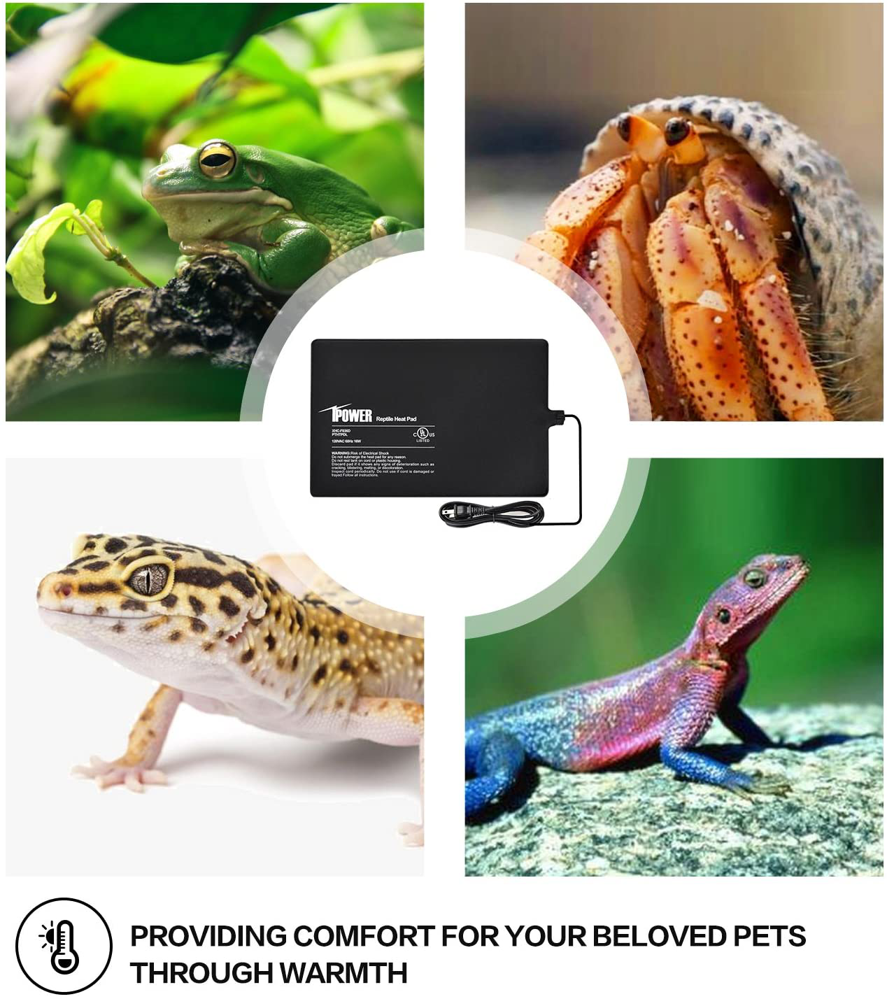 Ipower Reptile Heat Pad 4W/8W/16W/24W under Tank Terrarium Warmer Heating Mat and Digital Thermostat Controller for Turtles Lizards Frogs and Other Small Animals, Multi Sizes Animals & Pet Supplies > Pet Supplies > Reptile & Amphibian Supplies > Reptile & Amphibian Substrates iPower   
