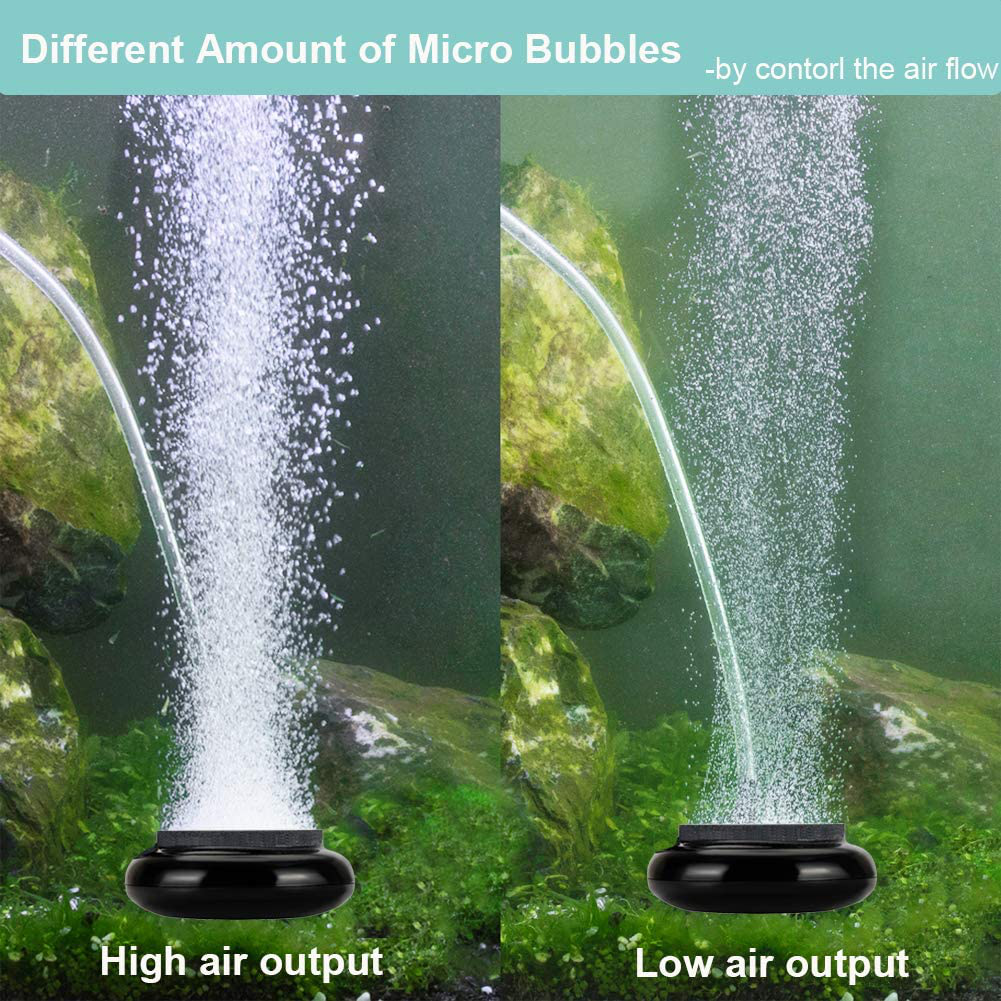 Small Bubbles In Fish Tank