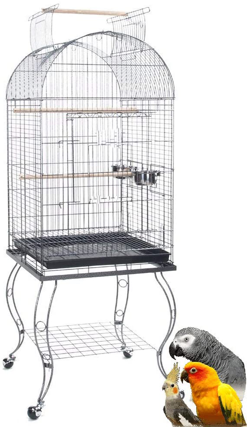 Mcage Large Open Dome Top Bird Flight Cage with 5/8-Inch Bar Spacing for Small Size Parrots Sun Conures Aviary Canary Finch Budgie Lovebird Cockatiel Parakeets Animals & Pet Supplies > Pet Supplies > Bird Supplies > Bird Cages & Stands Mcage   