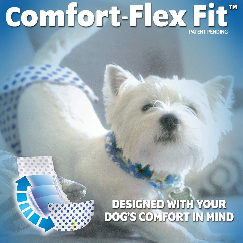 Out! Pet Care Disposable Male Dog Diapers Animals & Pet Supplies > Pet Supplies > Dog Supplies > Dog Diaper Pads & Liners OUT!   