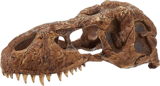 Exo Terra T-Rex Skull Terrarium Decor Animals & Pet Supplies > Pet Supplies > Reptile & Amphibian Supplies > Reptile & Amphibian Substrates Exo Terra   