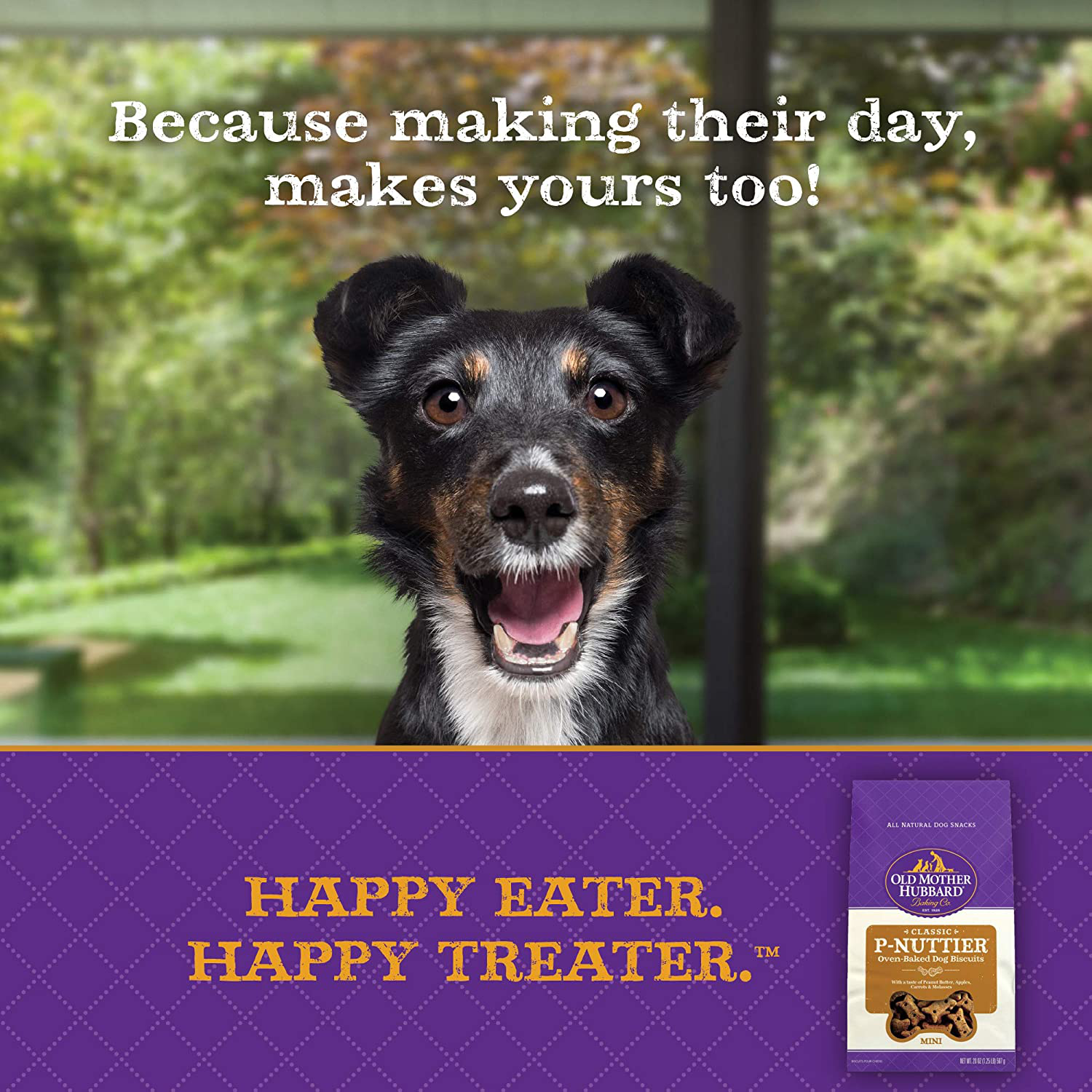 Old mother hubbard hip and joint deals