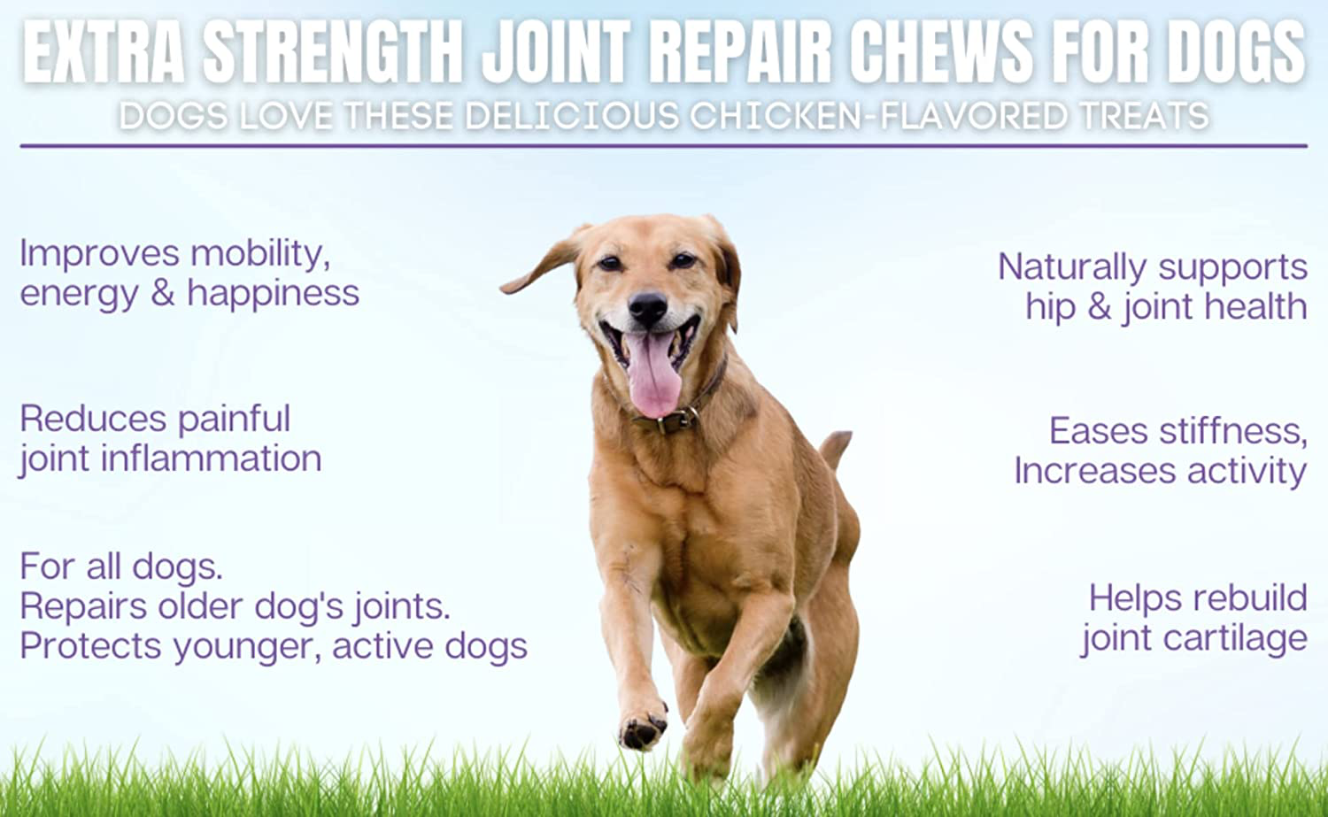 Joint Repair Advanced Hip & Joint Supplement for All Dogs. Naturally Relieves Arthritis, Pain & Inflammation. Extra Strength Chews: Glucosamine, Chondroitin, MSM, Turmeric & Omega 3. Made in USA Animals & Pet Supplies > Pet Supplies > Small Animal Supplies > Small Animal Food Finest For Pets   