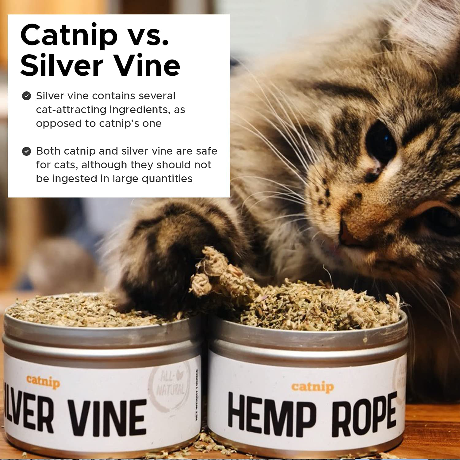 Whisker Catnip Flight by Litter-Robot, Pure and Potent Assortment of Cat Stimulants to Enliven Every Feline and Cat, Organic Blends, Silver Vine, Fine Ground, and Leaf Flower Animals & Pet Supplies > Pet Supplies > Cat Supplies > Cat Litter Whisker   
