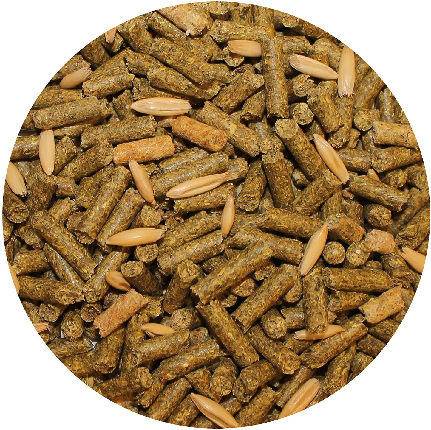 Exotic Nutrition Degu Complete - Nutritionally Complete Healthy Pellet Diet with Whole Oats - for Domesticated Pet Degus