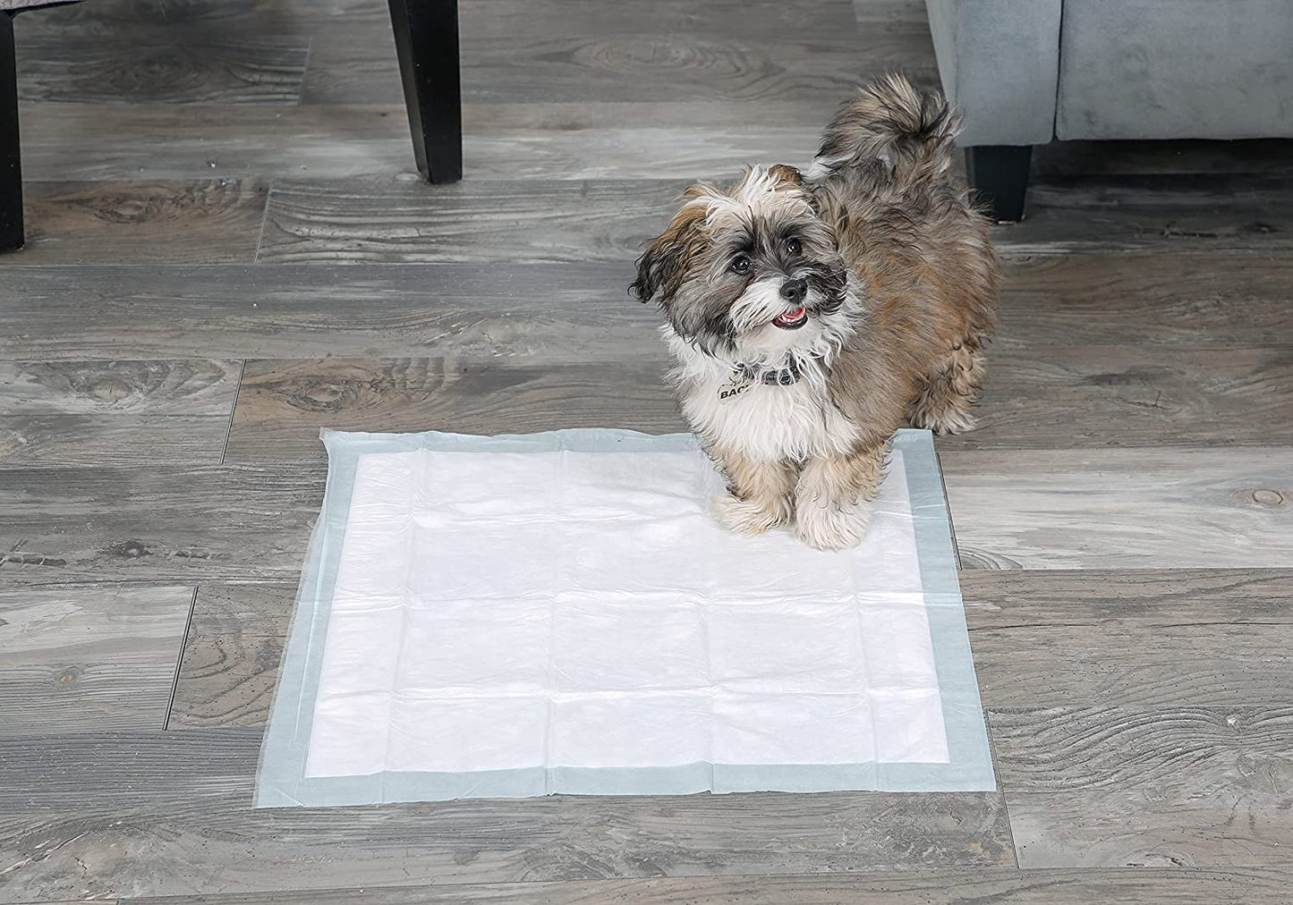 Hartz Home Protection Unscented Dog Pads, Super Absorbent & Won’T Leak, Pad Sizes & Package Counts Varies