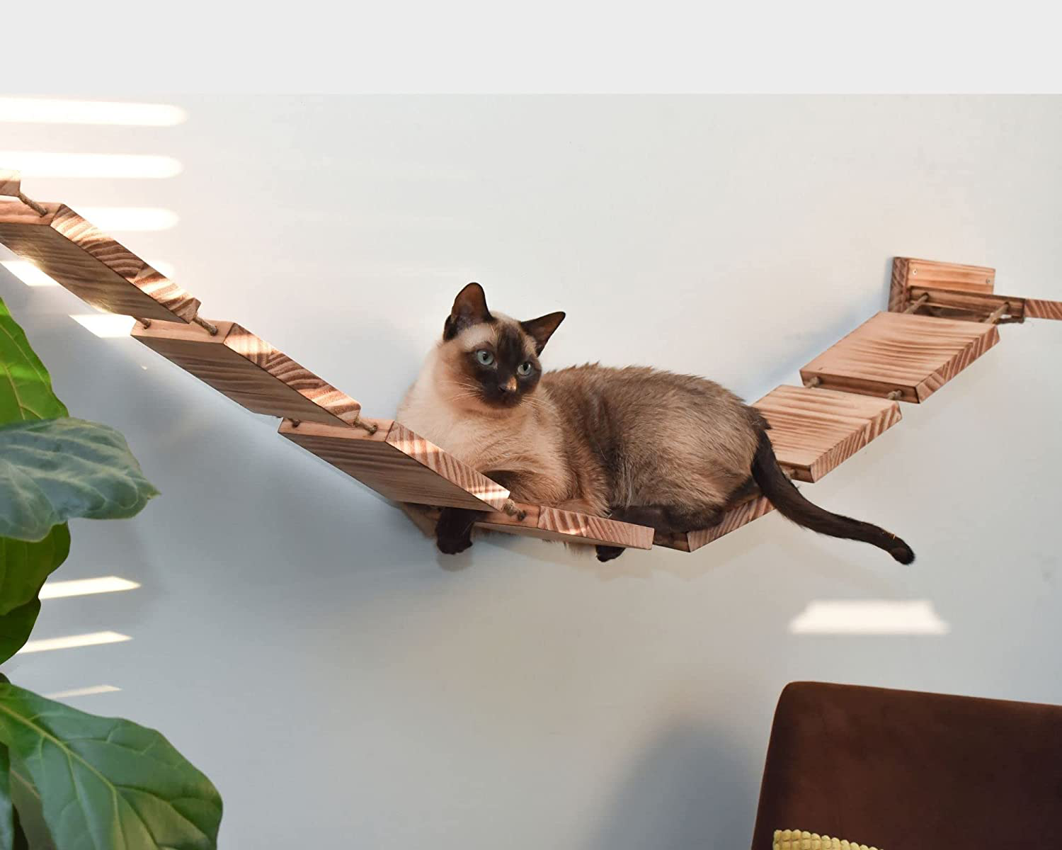 Olive & D Wall Mounted Cat Shelf Curved Perch. Sturdy Wooden Floating Hammock Bridge 56.7 Inches of Handcrafted Natural Pine. Sturdy, Wide Bed, Fully Assembled Easy Install. Animals & Pet Supplies > Pet Supplies > Cat Supplies > Cat Furniture Olive & D   