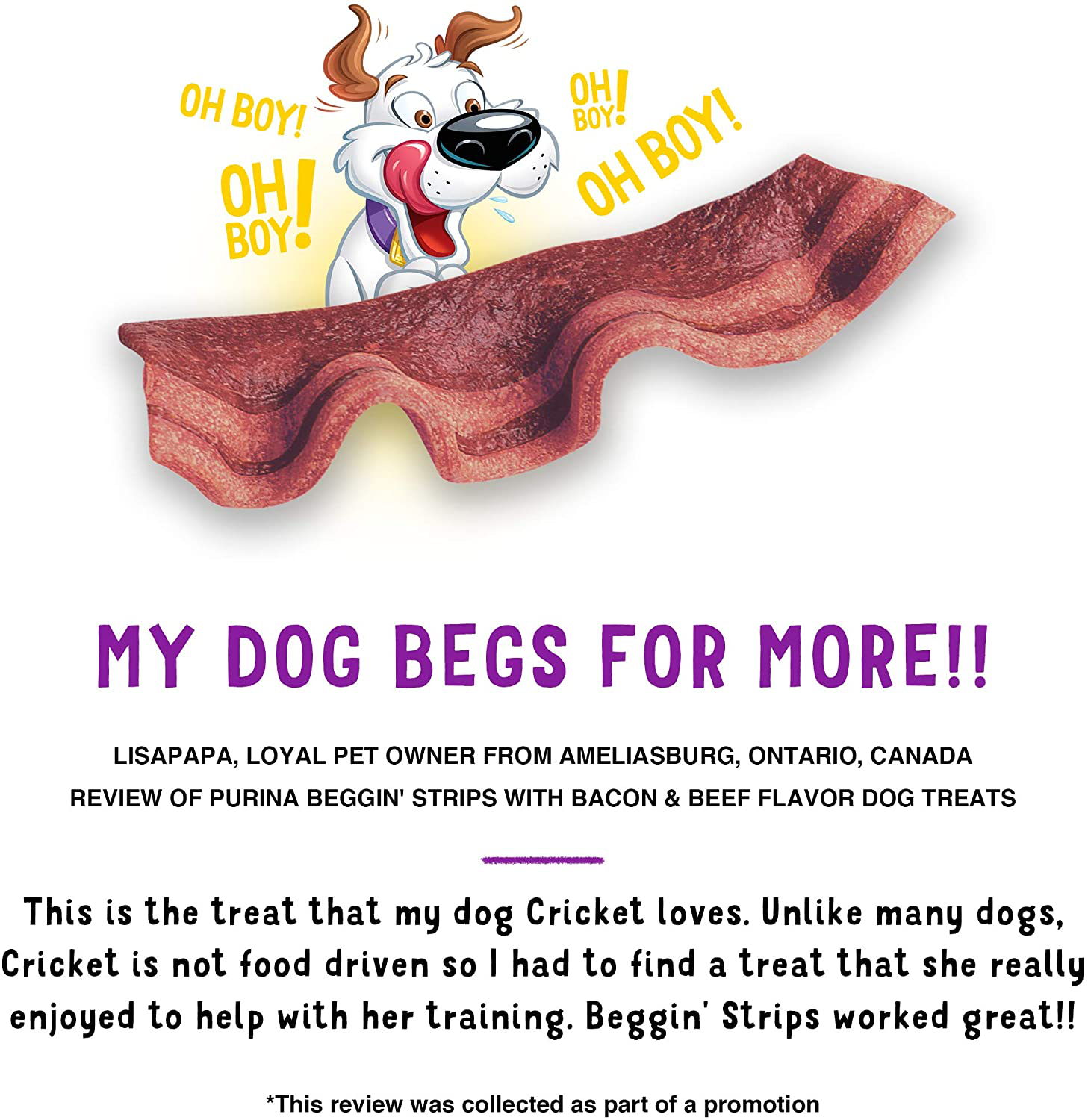 PURINA Beggin' Strips Bacon & Beef Dog Treats Made in USA Facilities Adult Dog Training Treats Animals & Pet Supplies > Pet Supplies > Dog Supplies > Dog Treats Purina Beggin'   