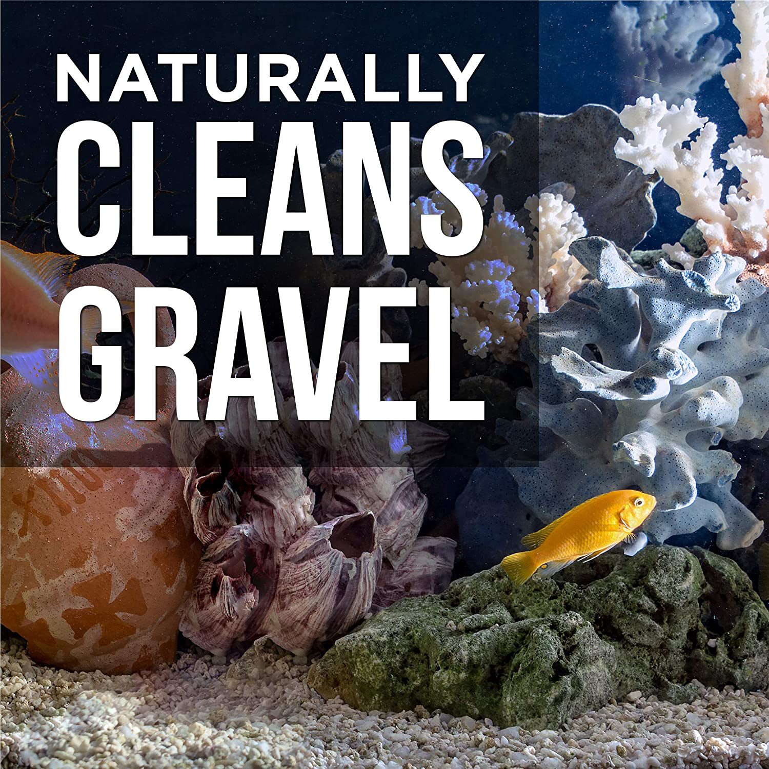 Natural Rapport Aquarium Gravel Cleaner - the Only Gravel Cleaner Fish Need - Professional Aquarium Gravel Cleaner to Naturally Maintain a Healthier Tank, Reducing Fish Waste and Toxins (16 Fl Oz)