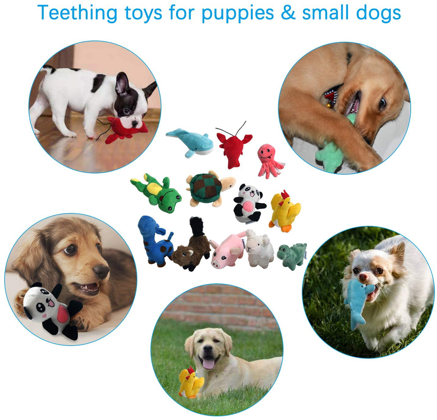 Squeaky Plush Dog Toy Pack for Puppy, Small Stuffed Puppy Chew Toys 12 Dog Toys Bulk with Squeakers, Cute Soft Pet Toy for Small Medium Size Dogs Animals & Pet Supplies > Pet Supplies > Dog Supplies > Dog Toys LEGEND SANDY   