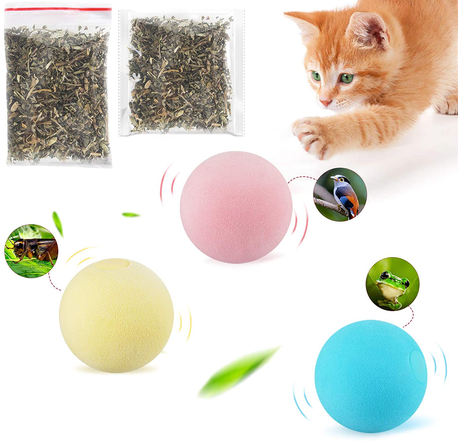 Qutz Cat Toys for Indoor Cats, Catnip Toys Makes 3 Lifelike Animal Chirping Sound, Bird Frog Cricket, Interactive Cat Toy, Stimulating Cats Chasing Chewing and Exercising, 3PCS Pack Animals & Pet Supplies > Pet Supplies > Cat Supplies > Cat Toys QuTZ   