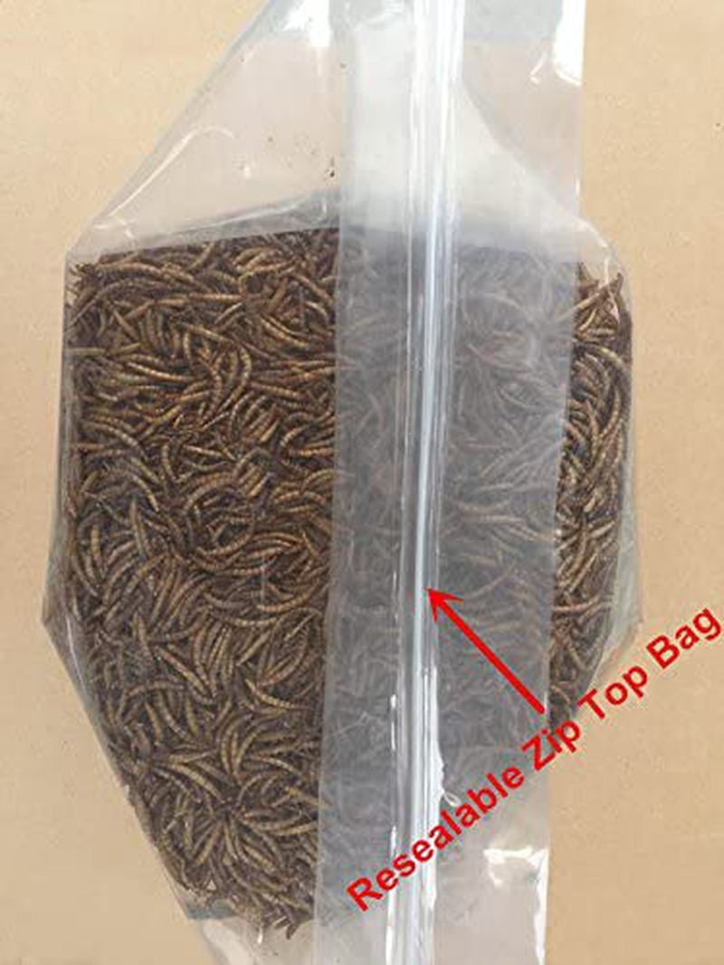 Hatortempt 5 Lbs Non-Gmo Dried Mealworms-High-Protein Mealworms for Wild Bird,Chicken, Ducks,Fish,Reptile, Tortoise, Amphibian,Lizard Animals & Pet Supplies > Pet Supplies > Bird Supplies > Bird Treats SUPERIOR PET SUPPLIES INC   