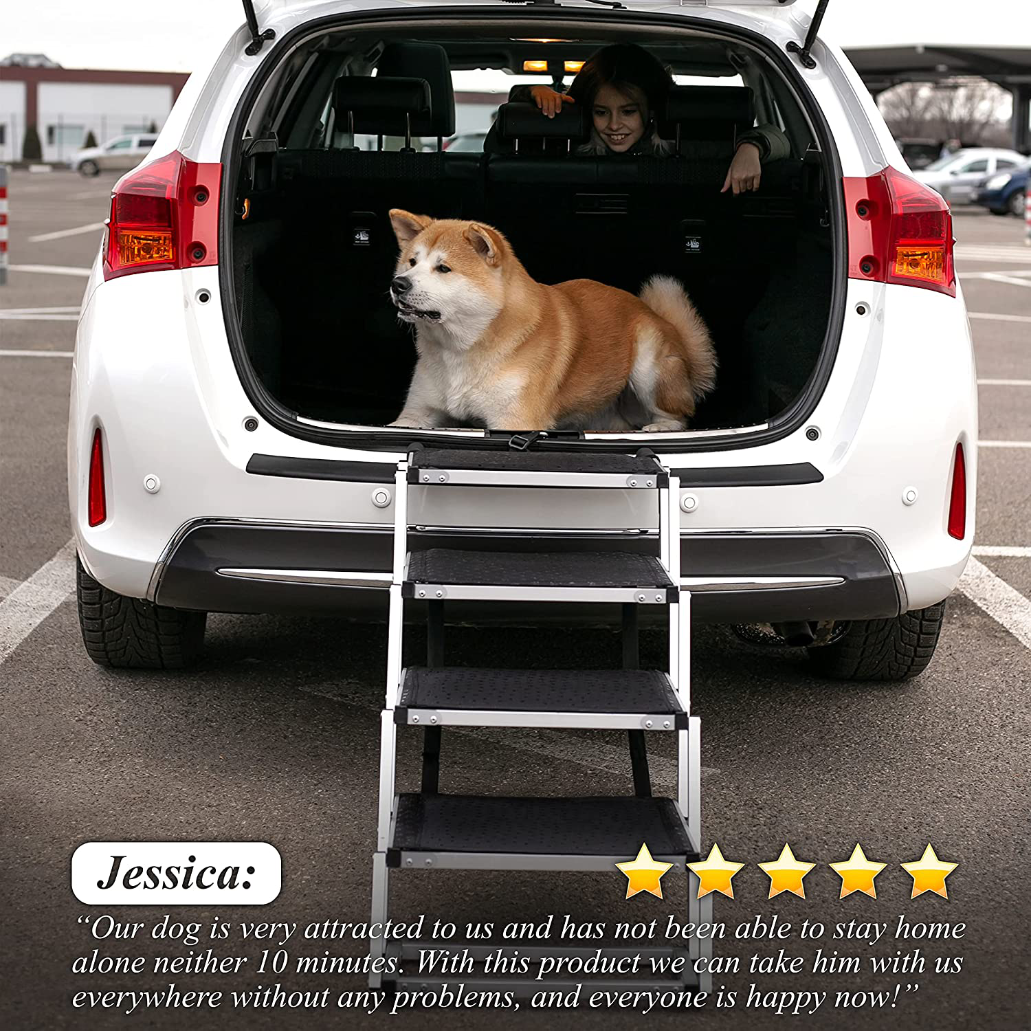 GOHORA Portable Dog Steps for Cars and SUV - High Pet Ramp for Large and Small Dogs with Folding Stairs - Aluminum Dog Ladder for Pickup Truck, RV, Tall Beds - Non-Slip Surface&Lightweight Max 150 Lbs Animals & Pet Supplies > Pet Supplies > Dog Supplies > Dog Treadmills Gohora   