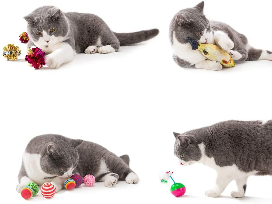 HIPIPET 21PCS Cat Toys Interactive Kitten Toys Assortments Tunnel Balls Fish Feather Teaser Wand Mice