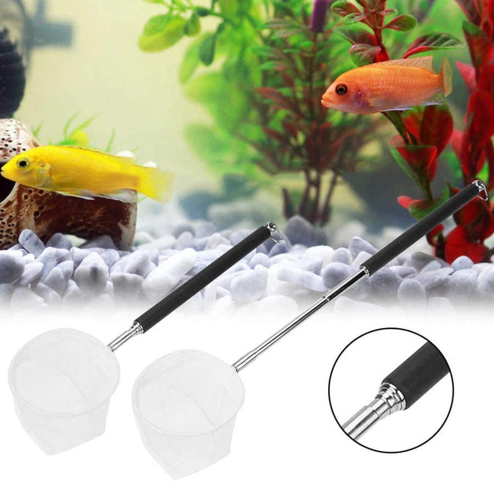 Wedai Flexible Retractable Aquarium Supplies Catch Net Cleaning Tool Stainless Steel Fish Tank Cleaning Gadgets Fishnet Fish Tank Accessory(Square) Animals & Pet Supplies > Pet Supplies > Fish Supplies > Aquarium Fish Nets WeDai   