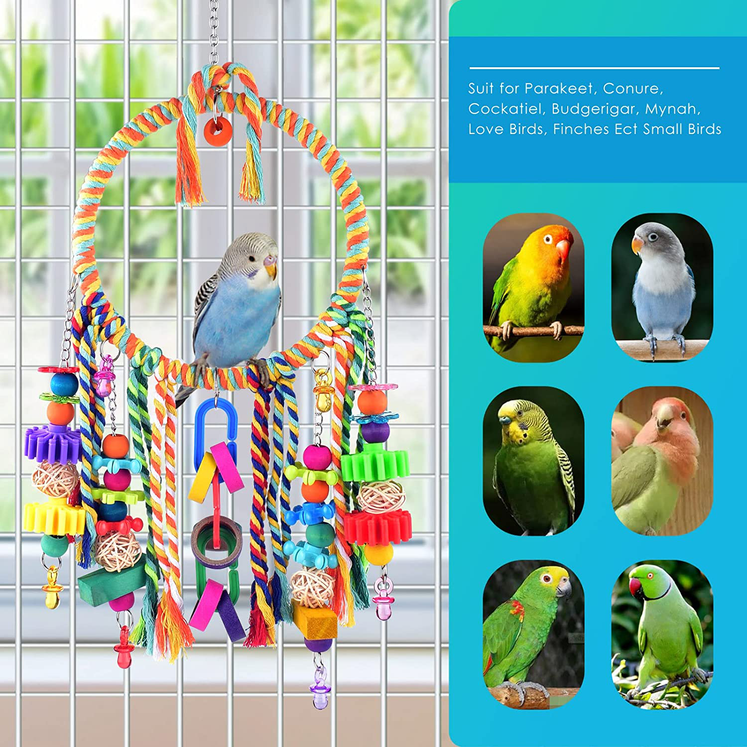 KATUMO Bird Toys, Bird Swing Toy Bird Perch with Colorful Chewing Toys, Suitable for Lovebirds, Finches, Parakeets, Budgerigars, Conure Ect Small Birds