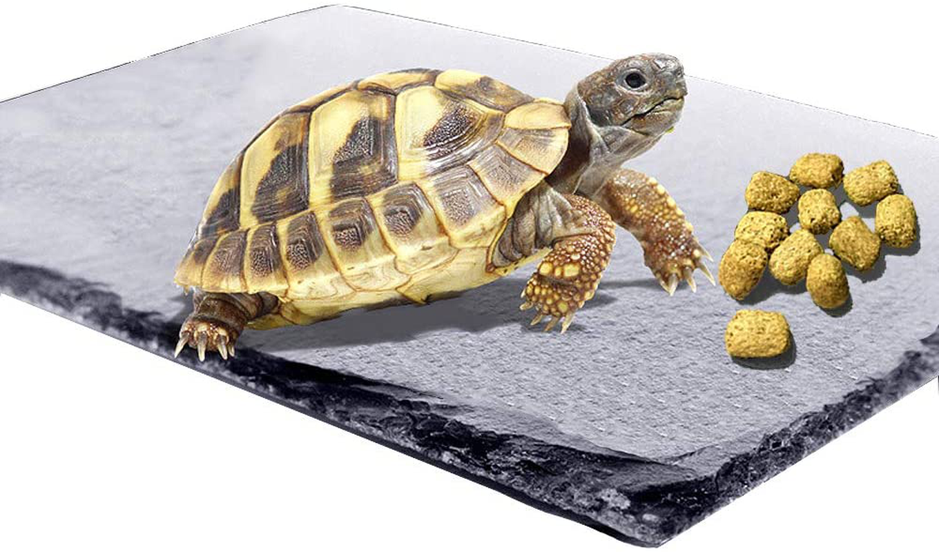 Reptile Basking Platform Tortoise Rock Plate Turtle Bathing Area Feeding Food Dish Resting Terrace Animals & Pet Supplies > Pet Supplies > Reptile & Amphibian Supplies > Reptile & Amphibian Habitat Accessories kathson 1PCS  