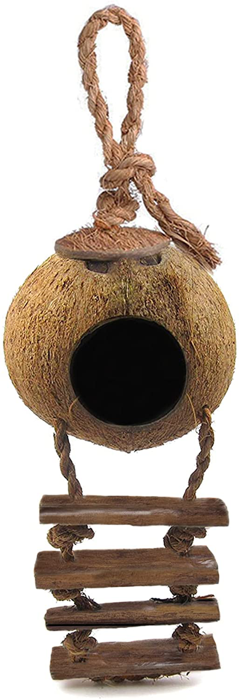 Sungrow Crested Gecko Coco Den with Ladder, 5” Diameter, 2.5” Cave Opening, Raw Coconut Husk Habitat with Hanging Loop, 1 Pc per Pack