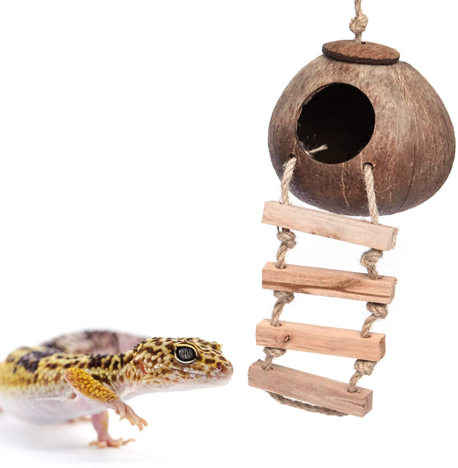 Gecko Coconut Husk Hut, Bird Hut Nesting House Hideouts Hanging Home, Treat & Food Dispenser, Durable Cave Habitat with Hanging Loop for Crested Gecko, Reptiles, Amphibians and Small Animals Animals & Pet Supplies > Pet Supplies > Reptile & Amphibian Supplies > Reptile & Amphibian Habitat Accessories Besimple Coconut Husk Hut with Ladder  
