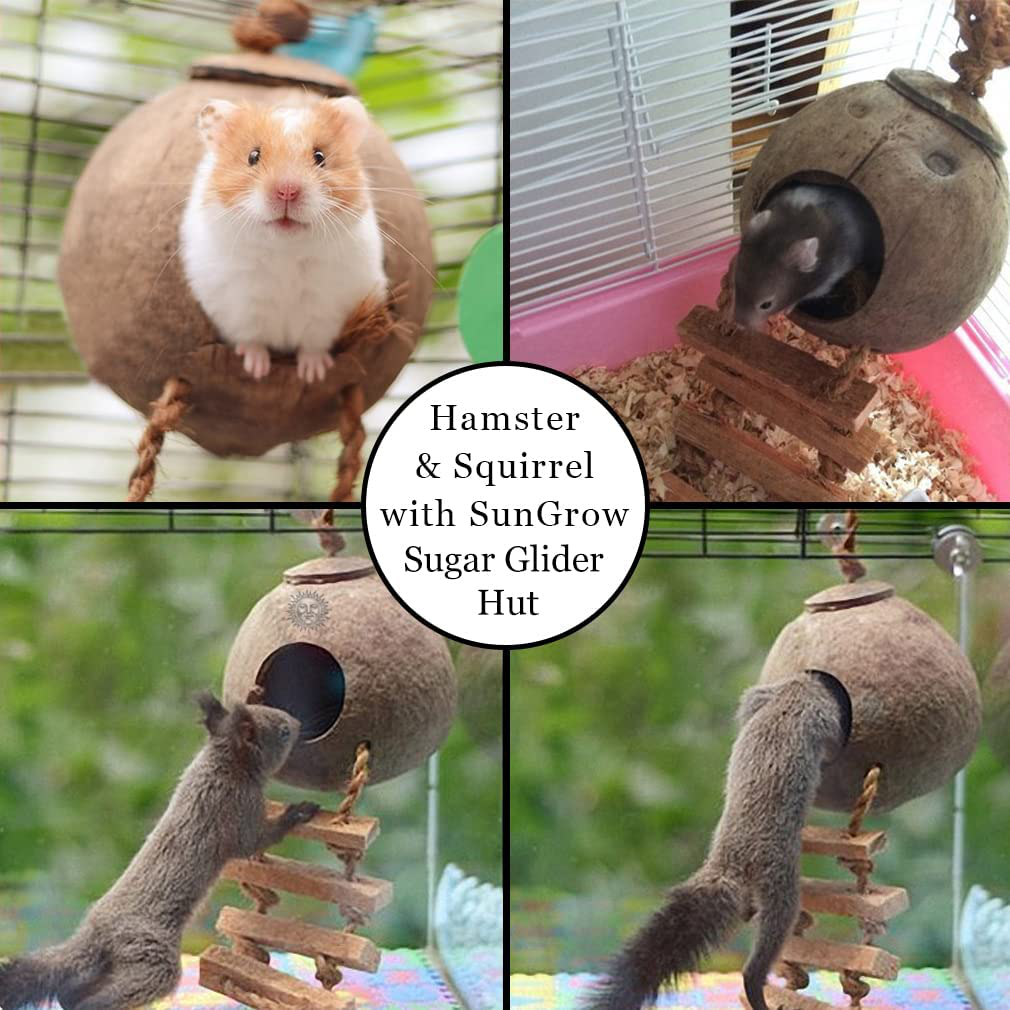 Sungrow Sugar Glider Squirrel Hut with Ladder, 5” Diameter, 2.5” Opening, Raw Coconut Husk Hide