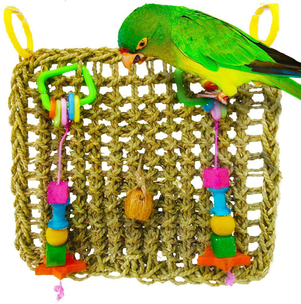 Sungrow Bird Foraging Wall Toy with Hanging Hook, 12.5 X 13.5 Inches, Seagrass Woven Mat with Colorful Wooden Blocks Animals & Pet Supplies > Pet Supplies > Bird Supplies > Bird Treats SunGrow   