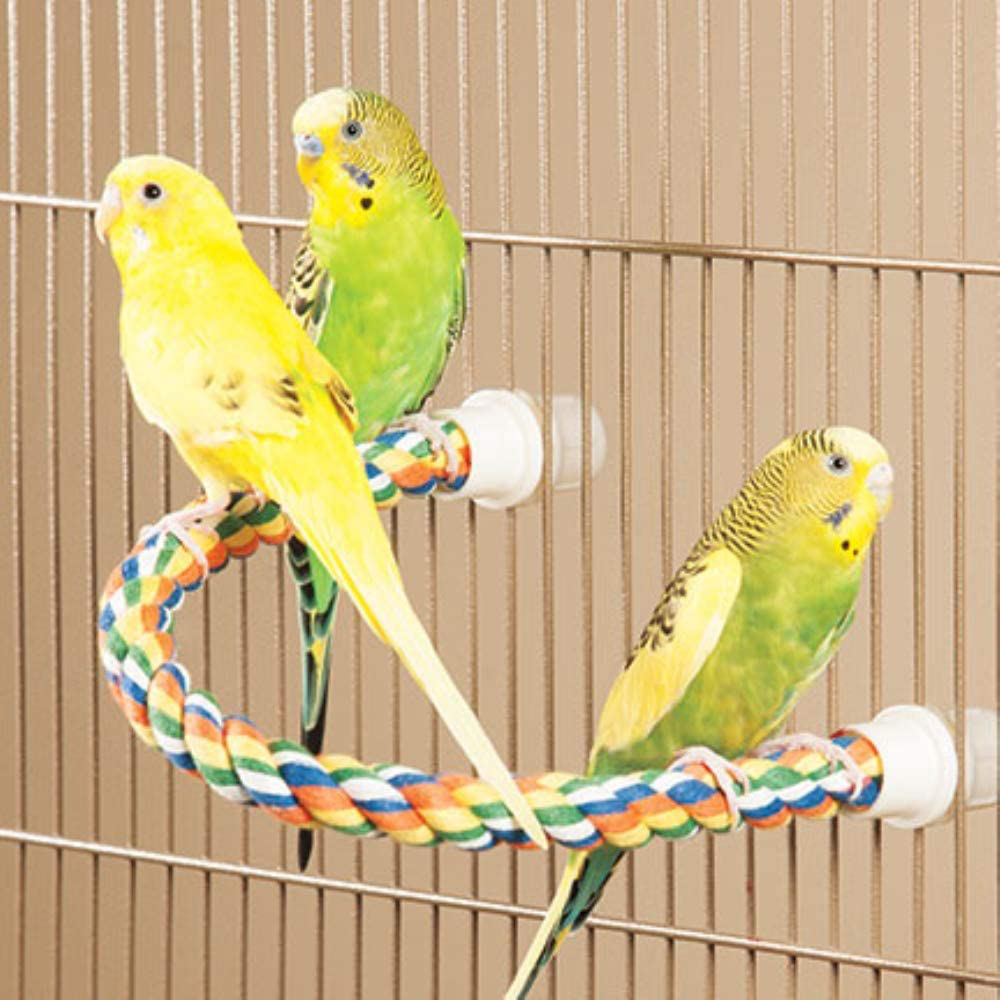 JW Pet Comfy Perch for Birds Flexible Multi-Color Rope,Small Animals & Pet Supplies > Pet Supplies > Bird Supplies > Bird Ladders & Perches JW   