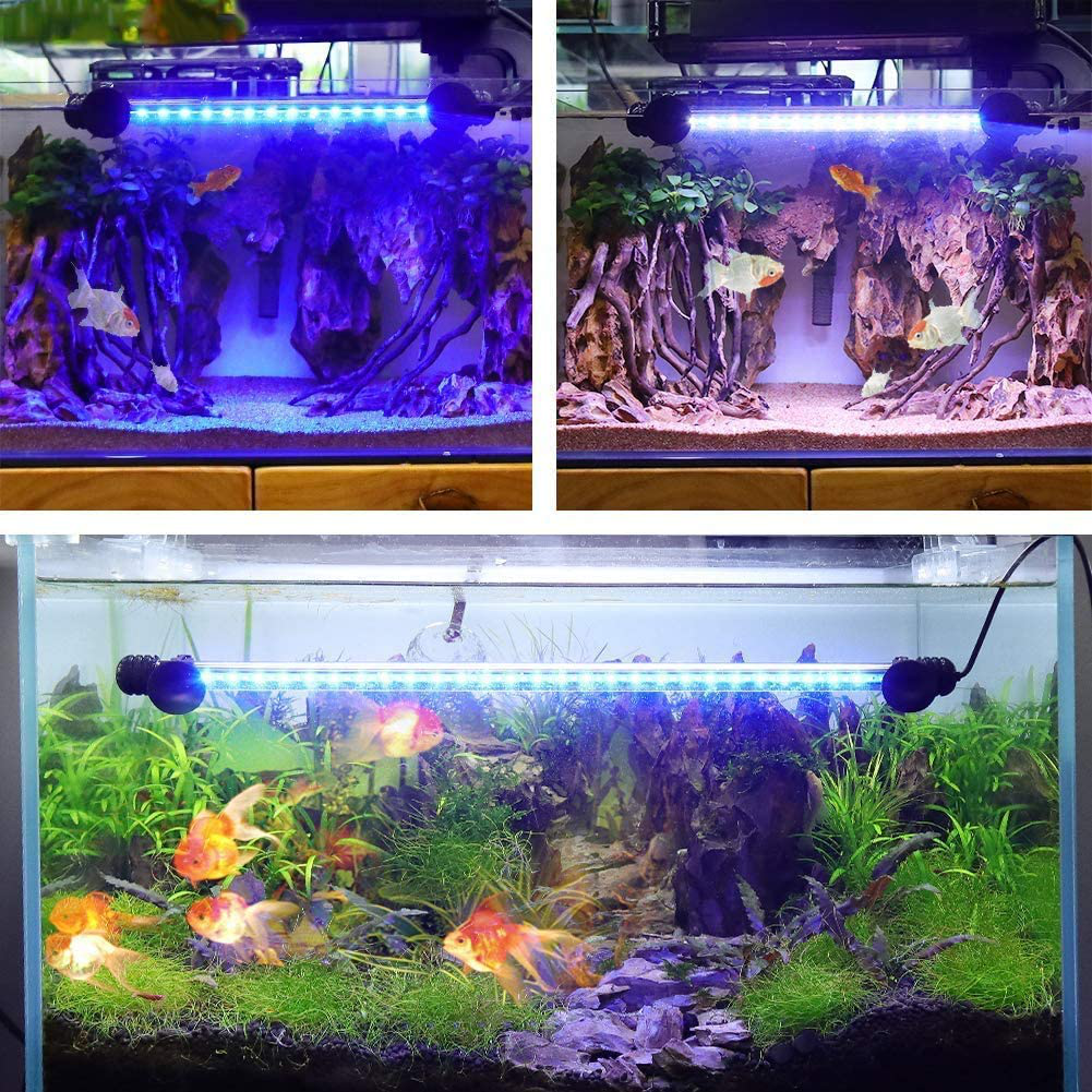 Aquariumbasics Led Aquarium Light for Fish Tank ,Auto On/Off Submersible White and Blue Led Aquarium Plant Light with Timer and Dimming Function (7.5 Inch （Timer & Dimming Function))