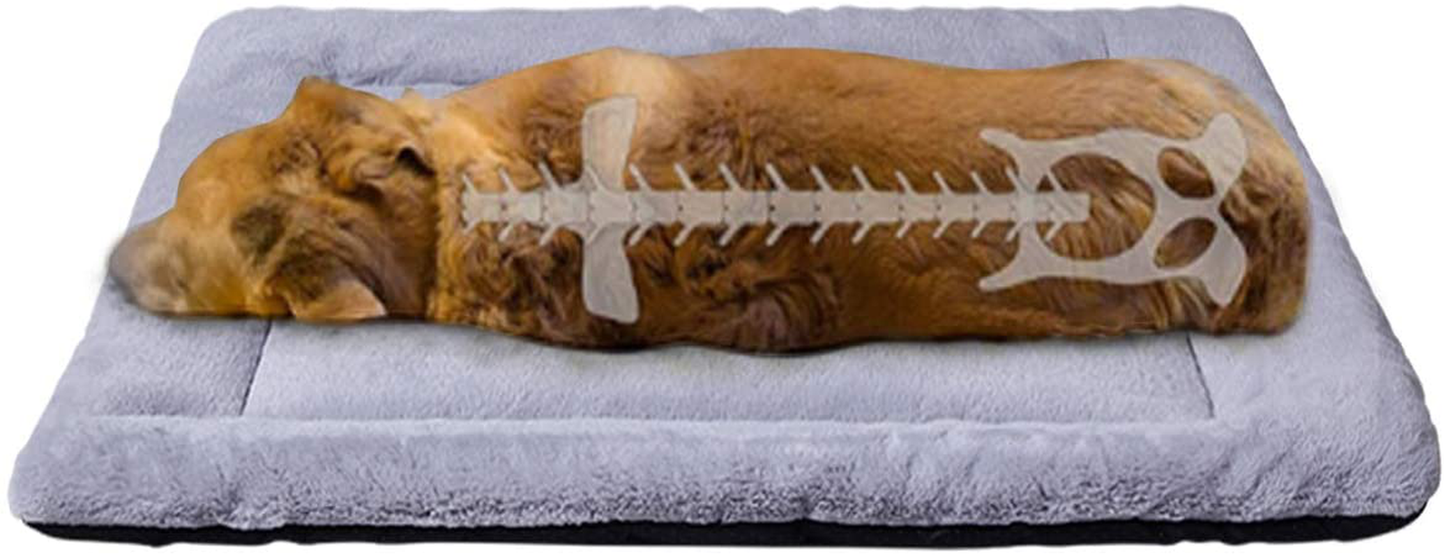 Machine Washable Pet Rug / Mat Bone Shaped Dog Rug / Mat Nonslip