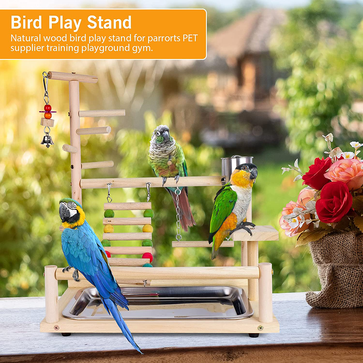 Joyeee Parrot Perches, Bird Cage Parakeet Toys, Pet Supplies Swing Chewing Toys, Rope Bungee Birds Cages Accessories, for Younger Birds, Sun Conure, Cockatiel Gerbil Rat Mouse Chinchilla Hamster Animals & Pet Supplies > Pet Supplies > Bird Supplies > Bird Cages & Stands Joyeee   