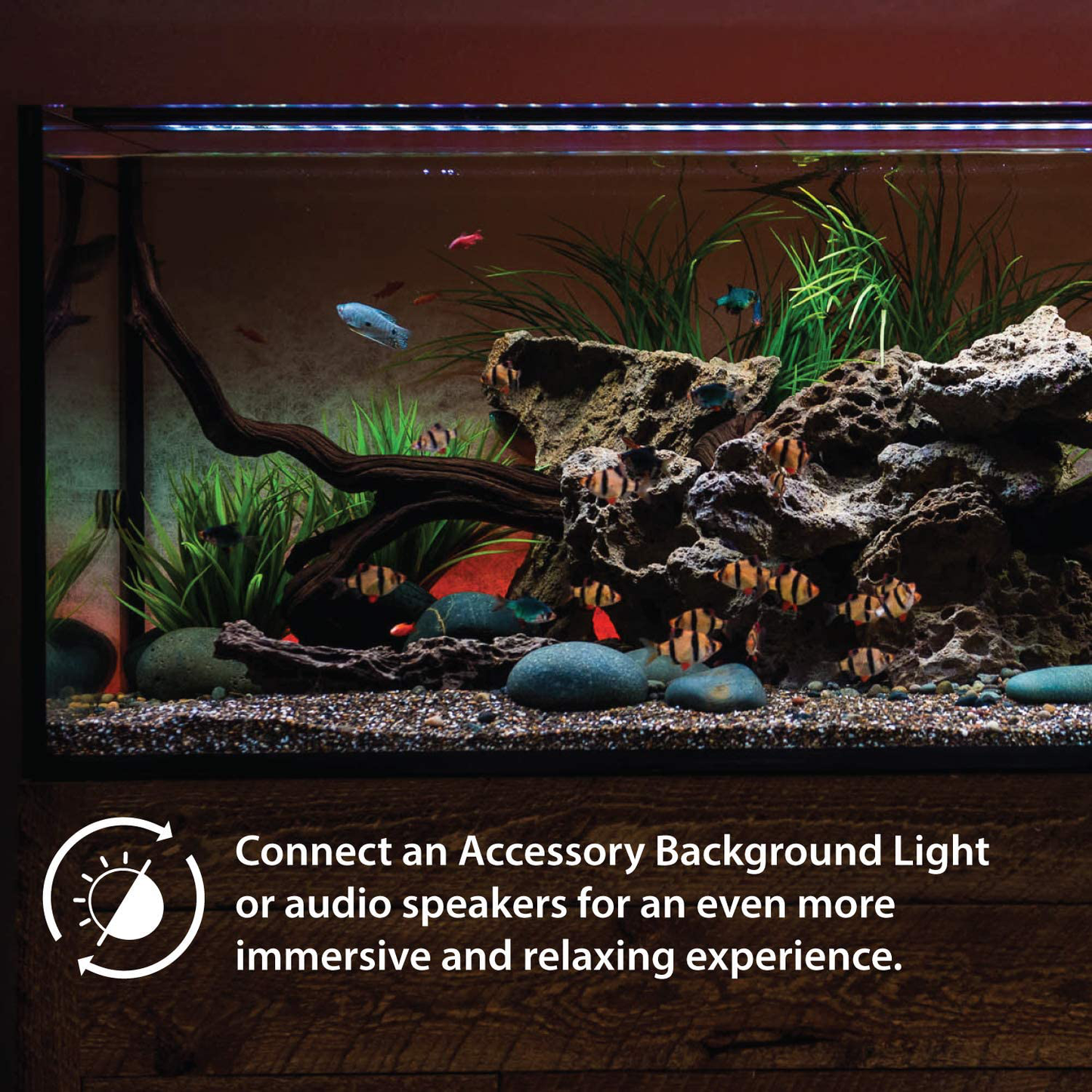 Current USA Satellite Freshwater LED plus Light for Aquarium Animals & Pet Supplies > Pet Supplies > Fish Supplies > Aquarium Lighting Current USA   